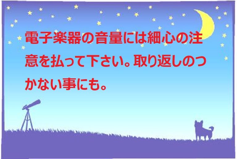 電子楽器の音量には細心の注意を払って下さい。取り返しのつかない事にも。