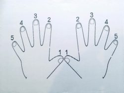 2019.2.27 両手の指番号