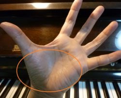 手の広がり（奏法のコツ）　ぴぴピアノ教室