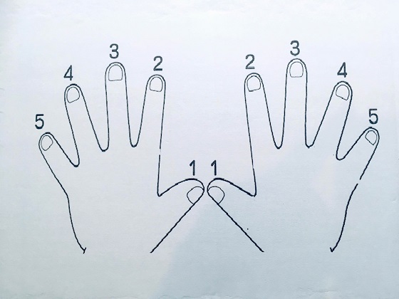 両手の指番号 ぴぴピアノ教室