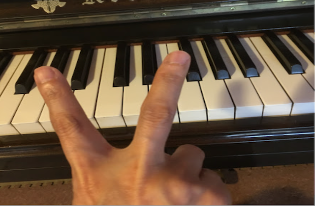 動かしやすい指はどれ？指の作りを学んで練習に生かそう。【ピアノ独学講座　２日目】